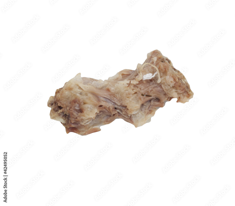 bones of the hen bones of the hen