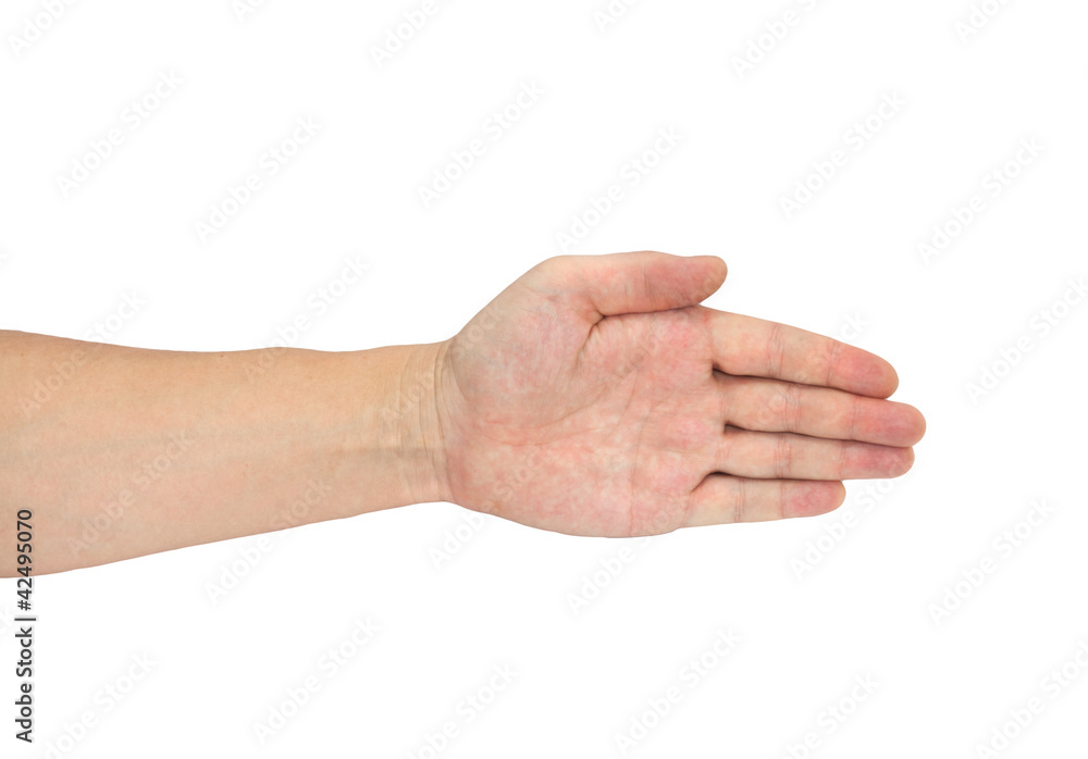 hand isolated on a white background hand isolated on a white background