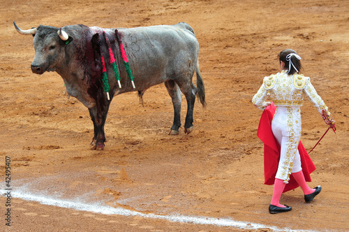 Mexican Bull-fight
