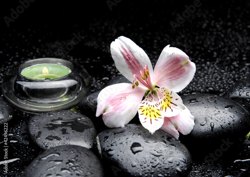 Zen-like scene with orchid and candles and stones in water