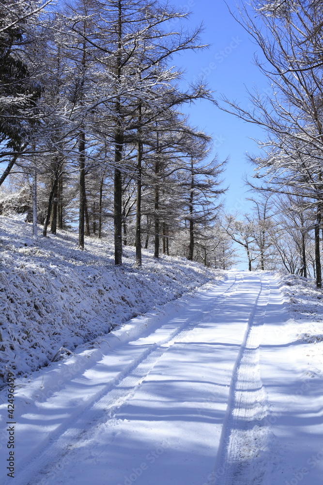 Obraz premium 雪道