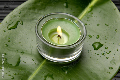 green candles on green wet leaf background