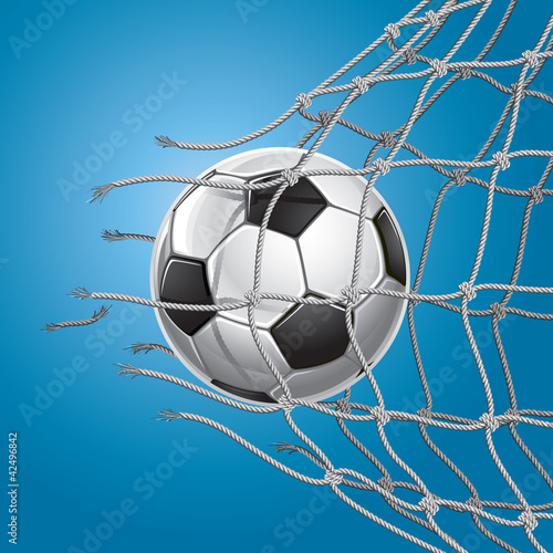 Soccer Goal. A soccer ball in a net. Vector illustration