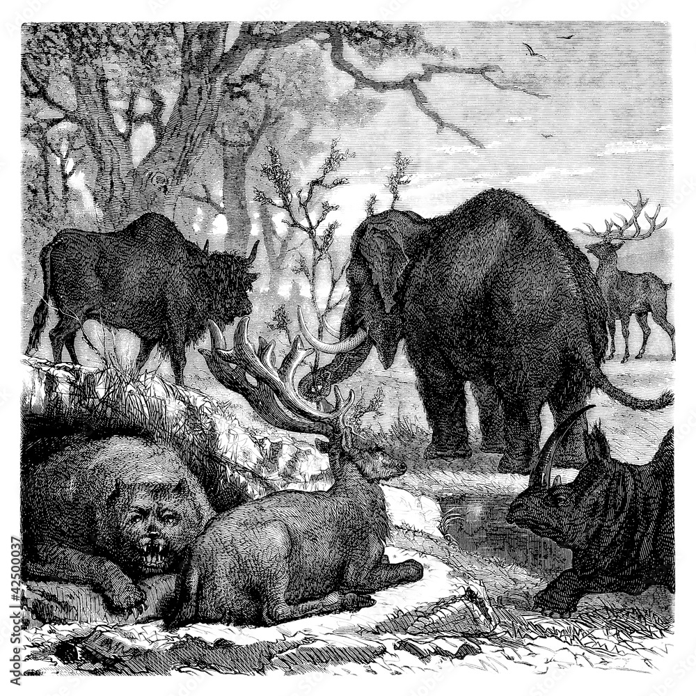 Fototapeta premium Prehistoric European Animals
