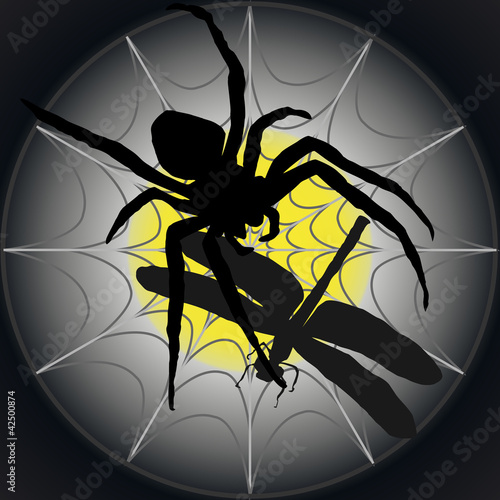 Libelle im Spinnennetz-Silhouette