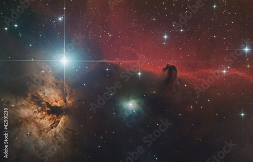 Horsehead Nebula #42501230