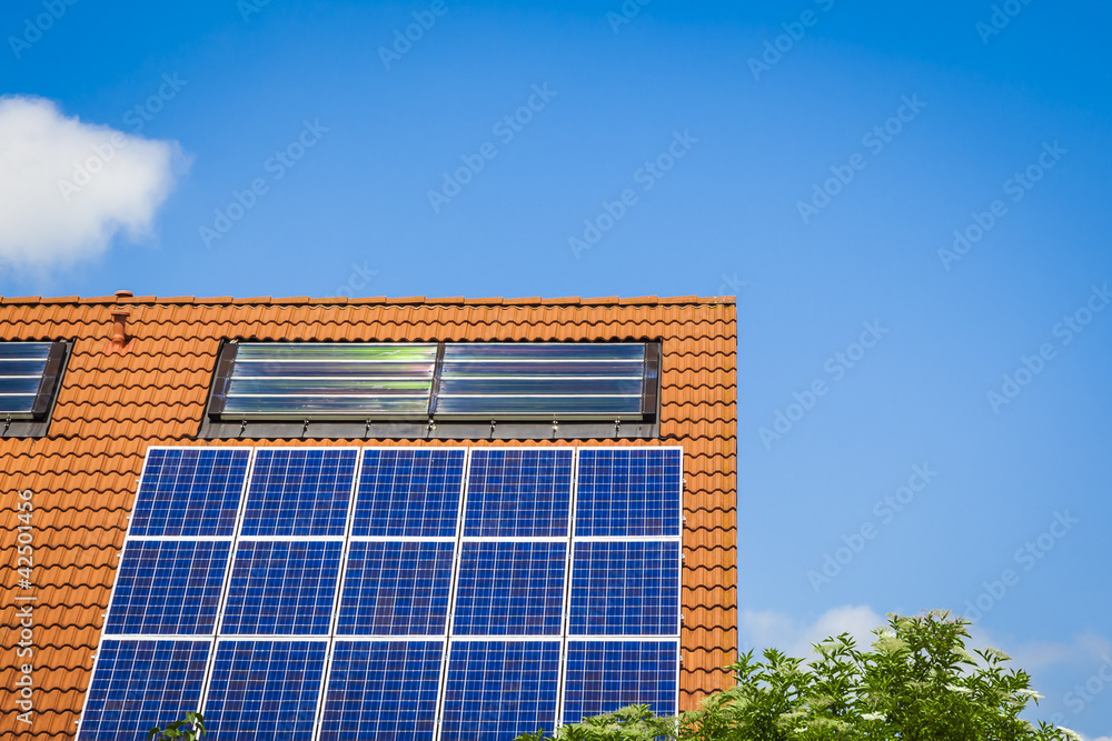 Fototapeta premium solar plant