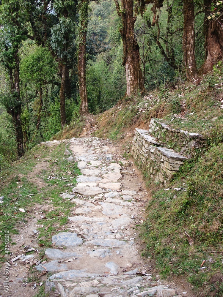 Chautara, traditional sitting place, Nepal Chautara, traditional sitting place, Nepal