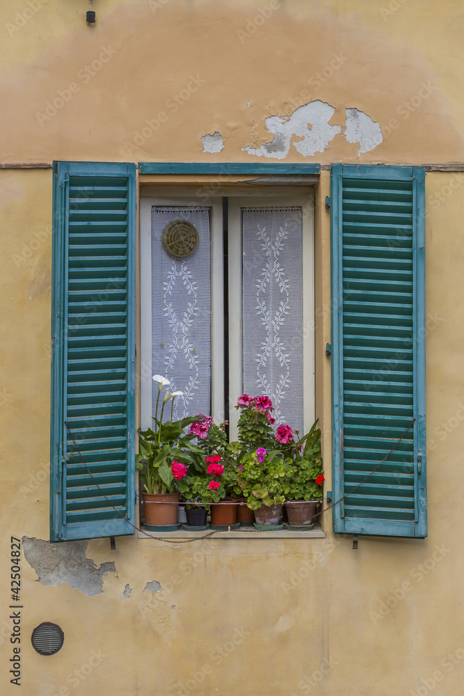 Finestra con fiori