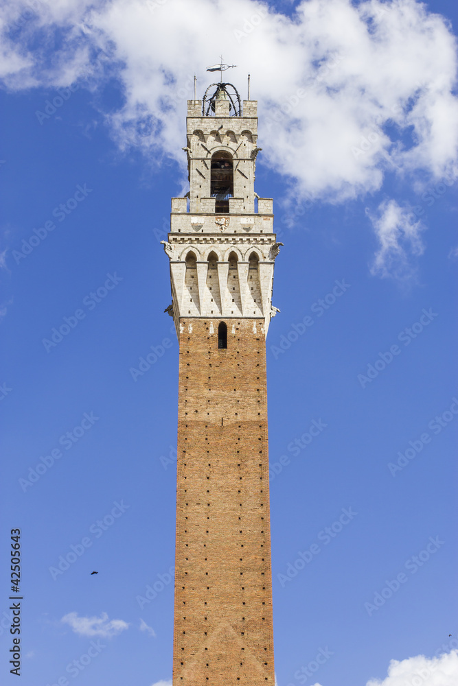 Piazza del Campo  e torre del comune - Siena, Toscana, Italia