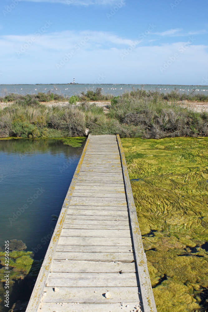 Pont sur le vaccarès