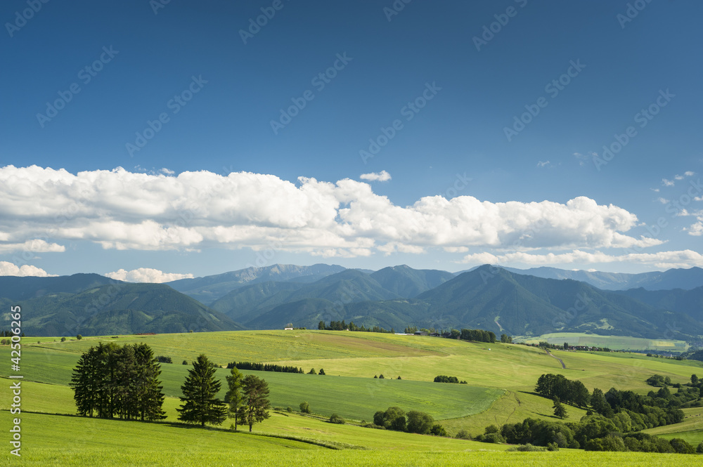 Mountains in summer