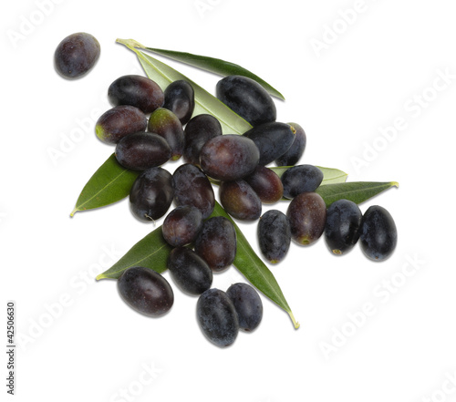 Olive nere Taggiasche con foglie