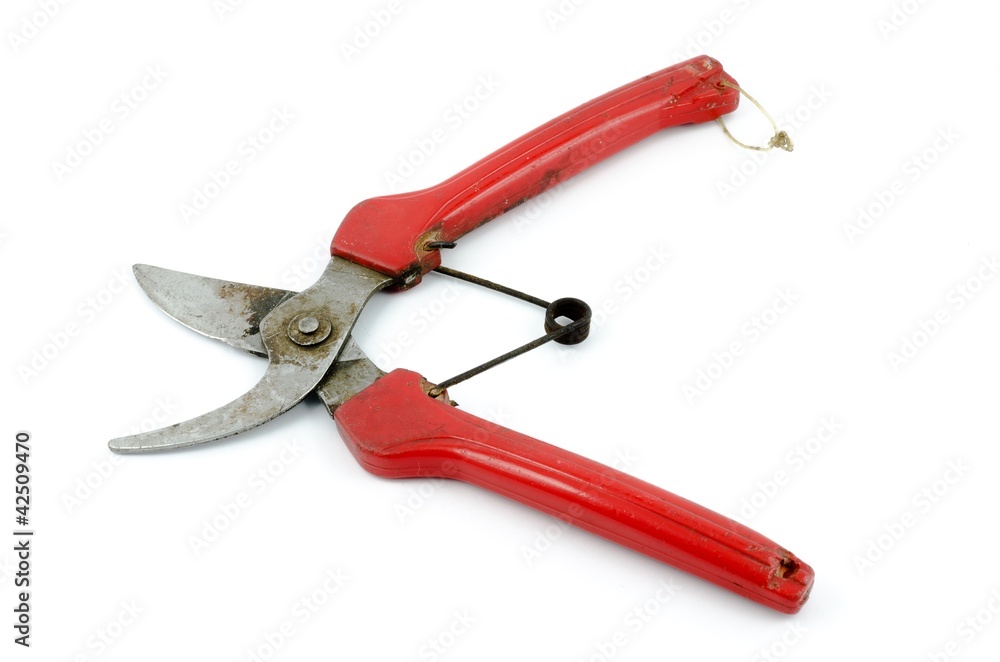 rusty scissors for gardening rusty scissors for gardening