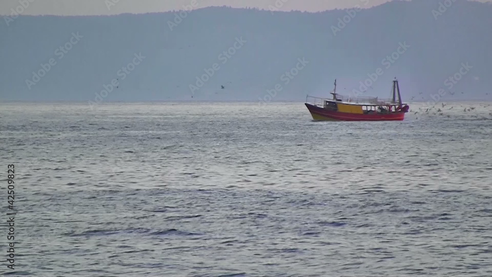 Colorful fishing boat on sea with many seagulls Colorful fishing boat on sea with many seagulls