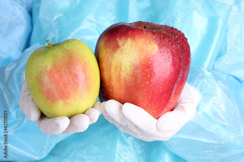 A scientist holds a genetically modified apple