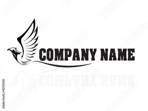 Hawk,Falcon,Eagle - vector company logo, sign, icon