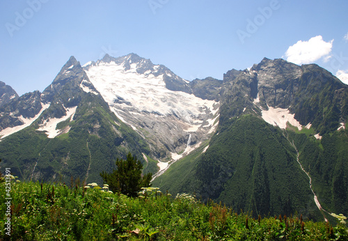 Caucasus Mountains. Summer in Dombay Region