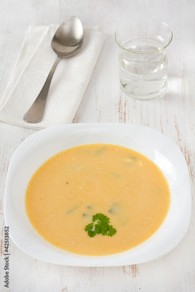 vegetable soup with parsley in white plate vegetable soup with parsley in white plate