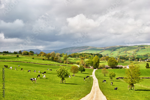 Picturesque English dairy farm
