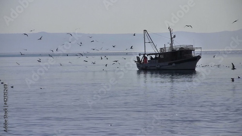 Fishing boat with many seagulls on blue sea