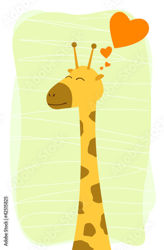 Lovely giraffe