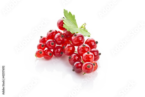 Red Currant.