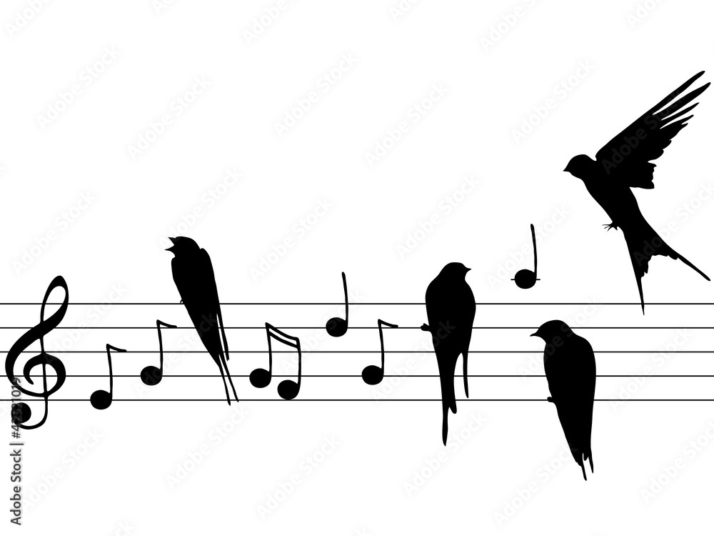 Vector music notes and birds Stock Illustration Adobe Stock