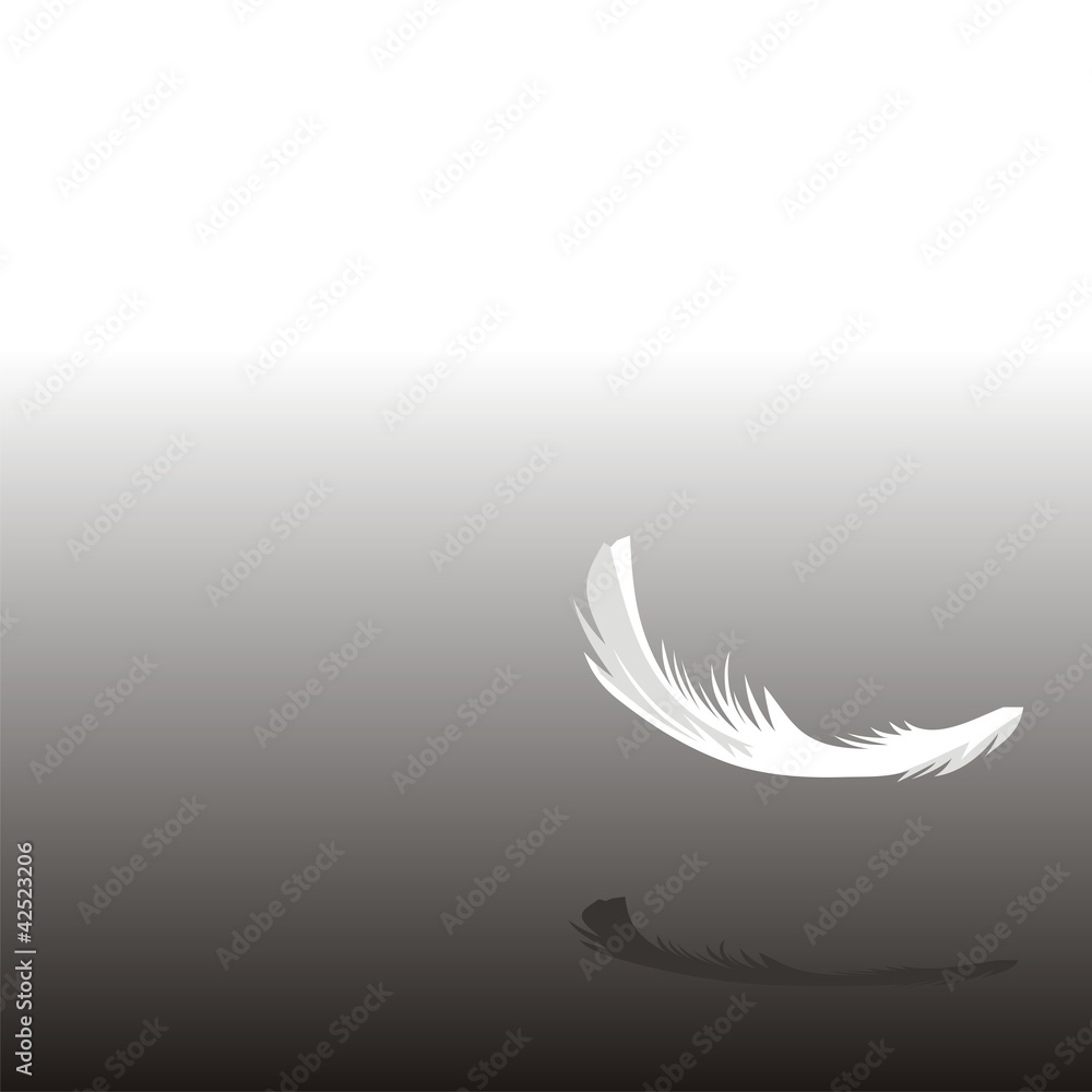 feather001 feather001