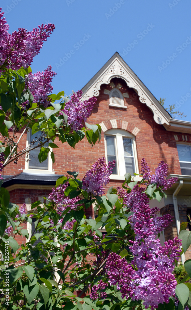 lilacs and Victorian gable