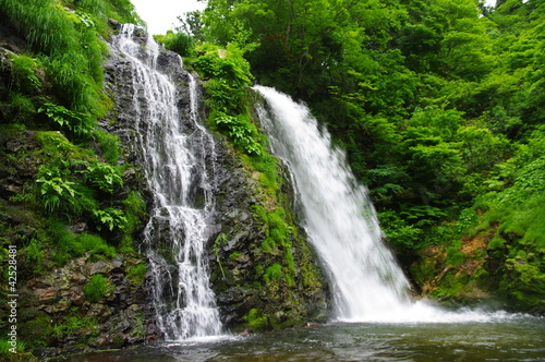 銀山の滝 夏