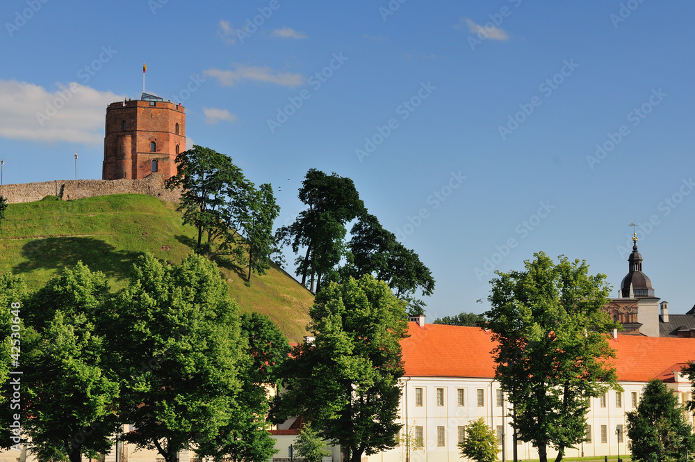 Vilnius, Tower of Gediminas, symbol of Vilnius Summer Vilnius, Tower of Gediminas, symbol of Vilnius Summer
