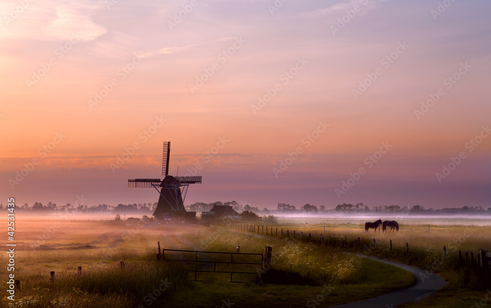 windmill on pasture at sunrise