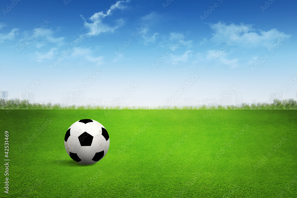 Fototapeta premium Soccer ball on green field