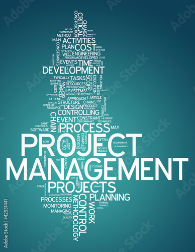 Word Cloud "Project Management"