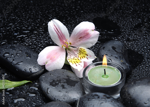 Zen-like scene with orchid and candles and stones