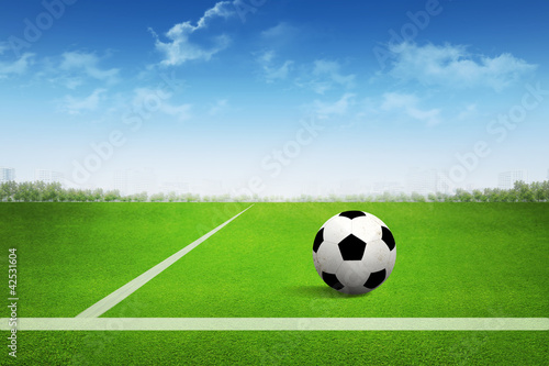 Soccer ball on soccer field © archipoch