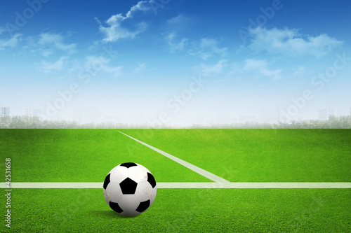Soccer ball on soccer field © archipoch