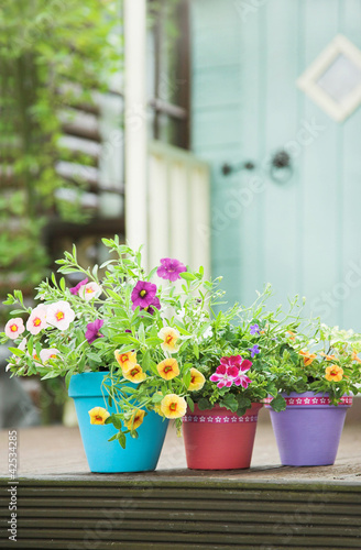 Decorated garden containers and summer flowers