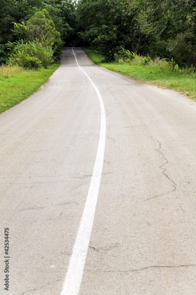 country road with marking line in greens environment country road with marking line in greens environment