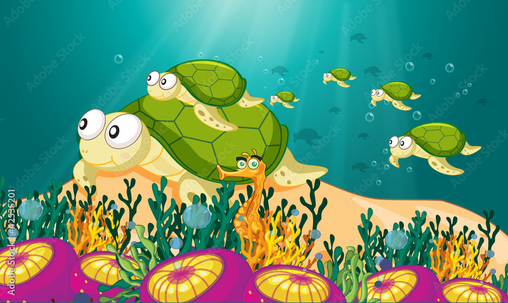 Fototapeta premium tortoise in water