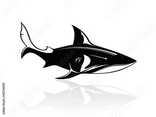 The vector image of a shark, orca, whale, logo, sign