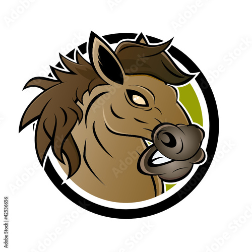 horse
