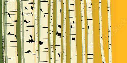 Horizontal illustration of trunks birches.