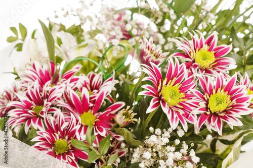 bouquet of colorful flowers