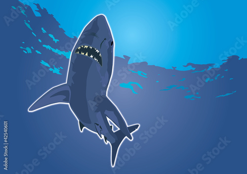 shark