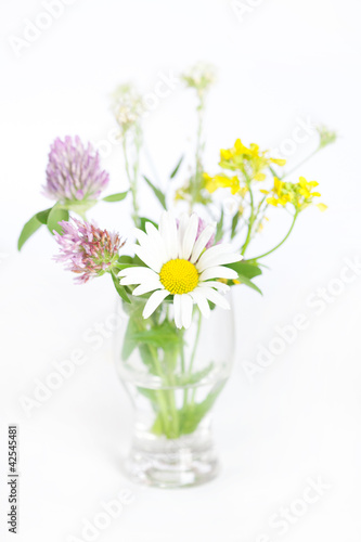 bouquet of wild flowers on a white background © Evgeniya Uvarova