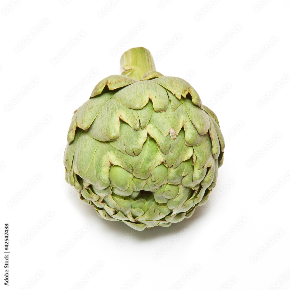 Fototapeta premium Globe artickoke isolated on a white studio background.