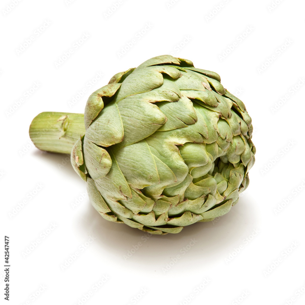 Fototapeta premium Globe artickoke isolated on a white studio background.