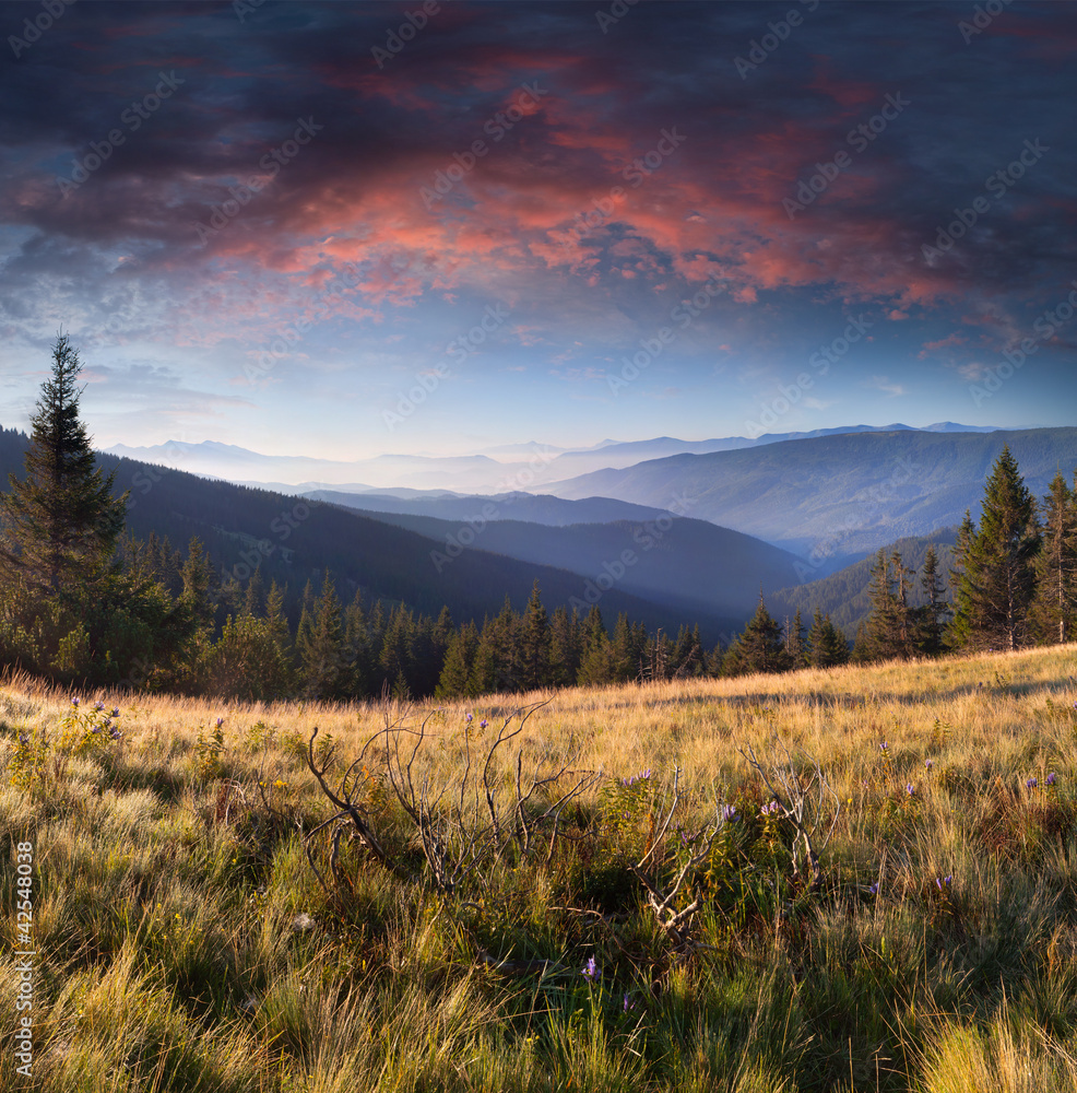 Summer landscape in the mountains. Sunrise Summer landscape in the mountains. Sunrise